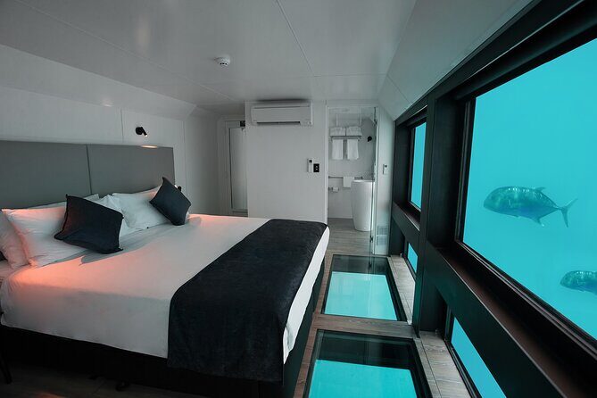 2 Day Great Barrier Reef "Reefsuites" Experience - What Makes This Tour Stand Out?