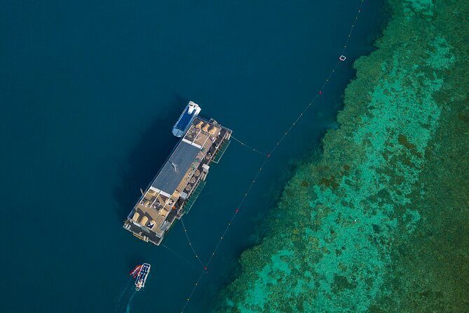 2 Day Great Barrier Reef "Reefsuites" Experience - Final Thoughts