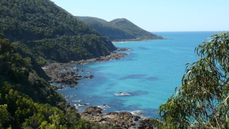 2 Day Great Ocean Road Small Group Tour - A Closer Look at the 2-Day Great Ocean Road Experience
