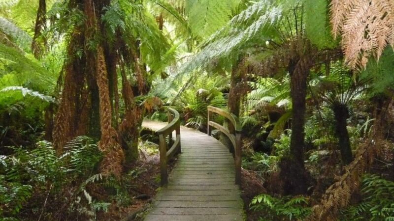 2 Day Great Ocean Road Small Group Tour - Practical Details and Value