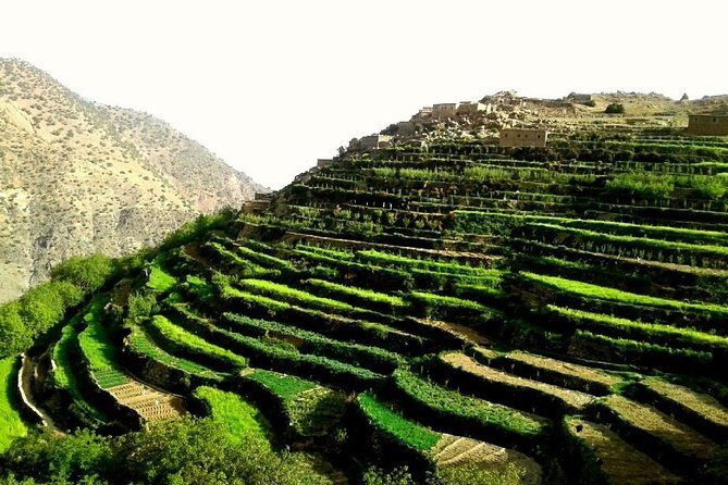 2-Day Guided Trek of the Atlas Mountains and Berber Villages - Final Thoughts