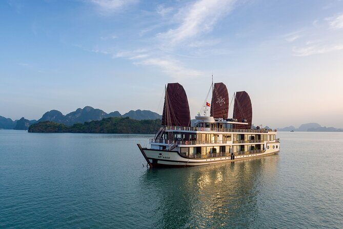 2-Day Halong Orchid Cruise - Why Choose the 2-Day Halong Orchid Cruise?
