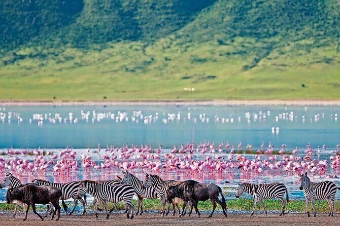 2-Day Hell's Gate, Crescent Island and Nakuru - Private Safari - Key Points