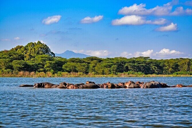 2-Day Hell's Gate, Crescent Island and Nakuru - Private Safari - What Travelers Love About This Tour