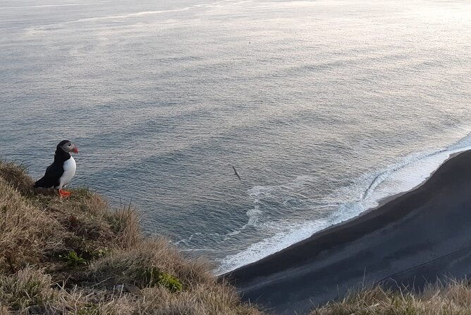 2-day-highlights-of-iceland-intro-to-the-land-of-ice-and-fire