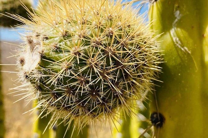 2-day-hiking-tour-to-the-colca-canyon