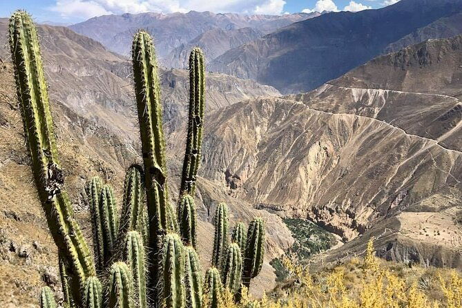 2-day-hiking-tour-to-the-colca-canyon
