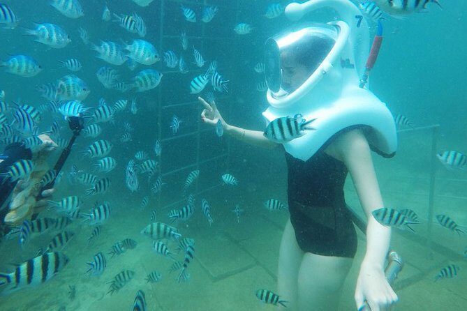 2-Day Hoi An and Cham Island Private Guided Tour with Sea Trek - Key Points