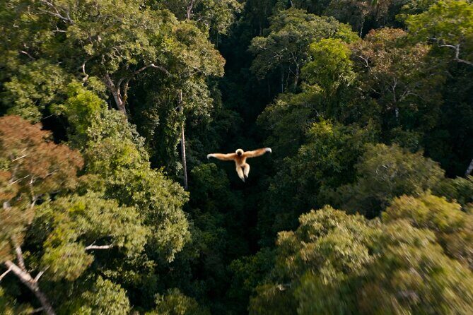 2-Day Hoolock Gibbons Wildlife Tour from Guwahati - What to Expect from the 2-Day Wildlife Tour