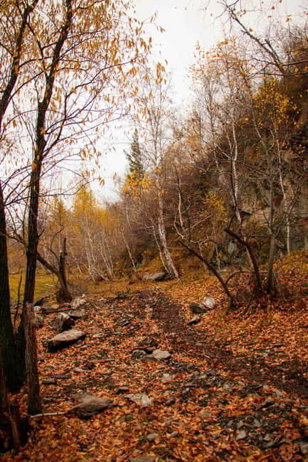 2 Day Horse trekking in Terelj national park - Introduction: What This Tour Offers