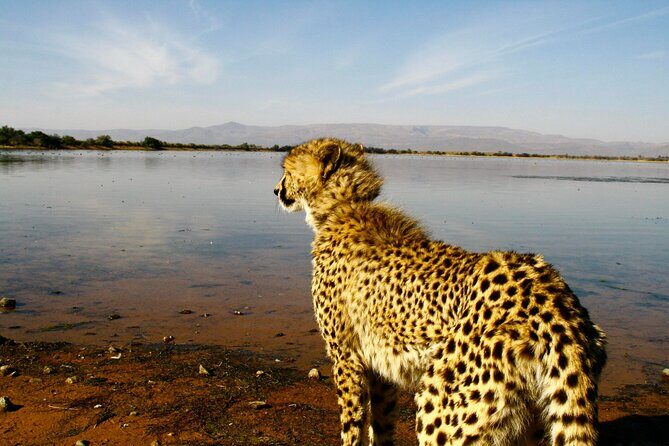 2 Day Inverdoorn Luxury Safari - Key Points