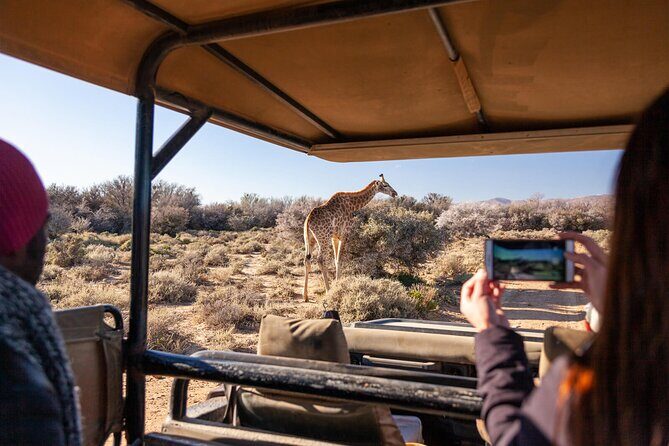 2 Day Inverdoorn Luxury Safari - The Value of this Safari Experience