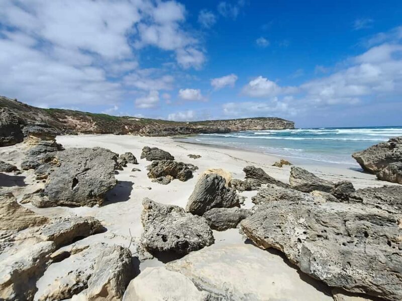 2-Day Kangaroo Island Private Tour - Final Thoughts: Who Should Consider This Tour?
