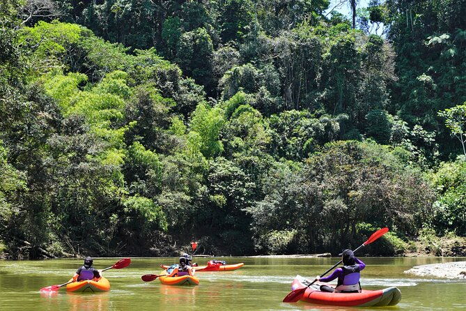2-day-kayaking-adventure-in-the-amazon