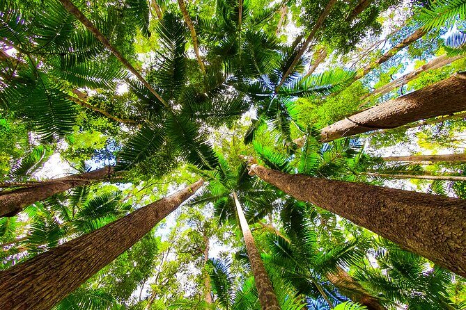 2 Day Kgari Fraser Island Small Group Camping Tour - Final Thoughts