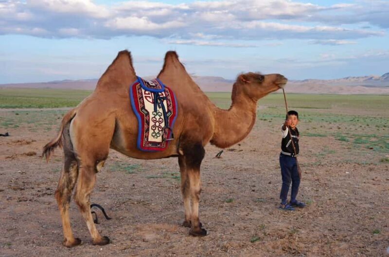 2-Day Kharkhorin Town, Granite Mountain, and Sand Dunes - Authentic Nomadic Living and Traditional Cuisine