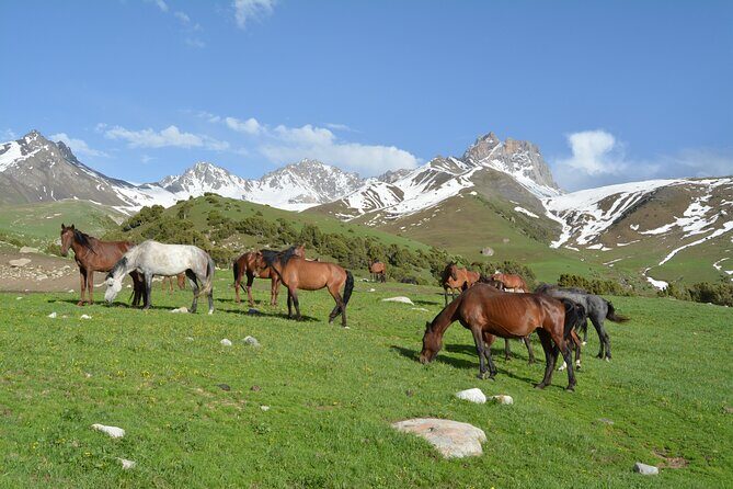 2-Day Kichi Alay Mountain Hiking Tour with Overnight Stay - Key Points