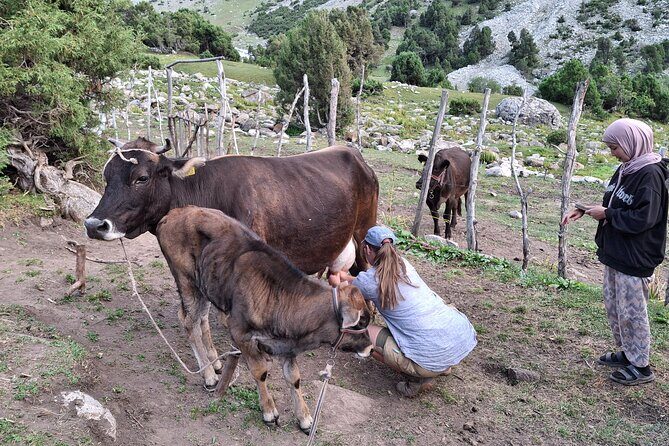 2-Day Kichi Alay Mountain Hiking Tour with Overnight Stay - What’s Included and What’s Not