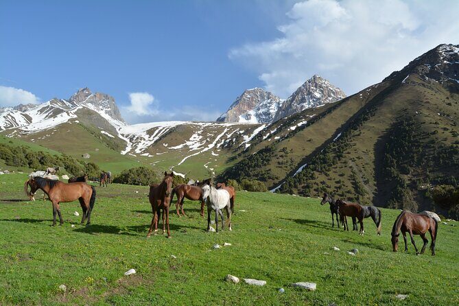 2-Day Kichi Alay Mountain Hiking Tour with Overnight Stay - Who Will Appreciate This Tour?