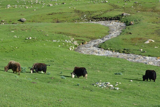 2-Day Kichi Alay Mountain Hiking Tour with Overnight Stay - The Sum Up: Is This Tour Worth It?