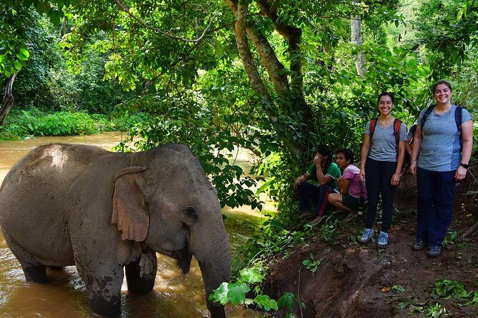 2-Day Kindred Spirit Elephant Sanctuary in Chiang Mai - An In-Depth Look at the Itinerary
