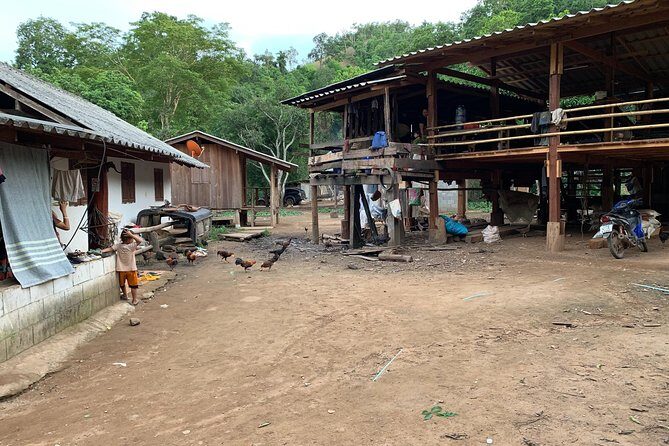 2-Day Kindred Spirit Elephant Sanctuary in Chiang Mai - The Ideal Traveler for This Tour