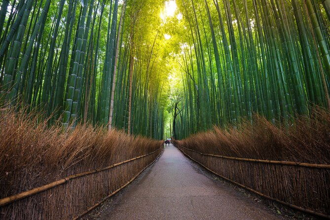 2-day-kyoto-and-nara-tour-from-tokyo