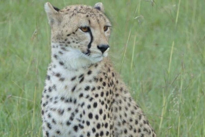 2 Day - Lake Manyara National Park and Ngorongoro Crater - Key Points