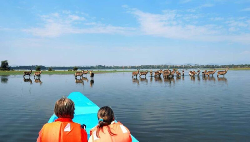 2-Day Lake Nakuru Flamingo Safari & lake Naivasha Boat Ride - An Overview of the Itinerary