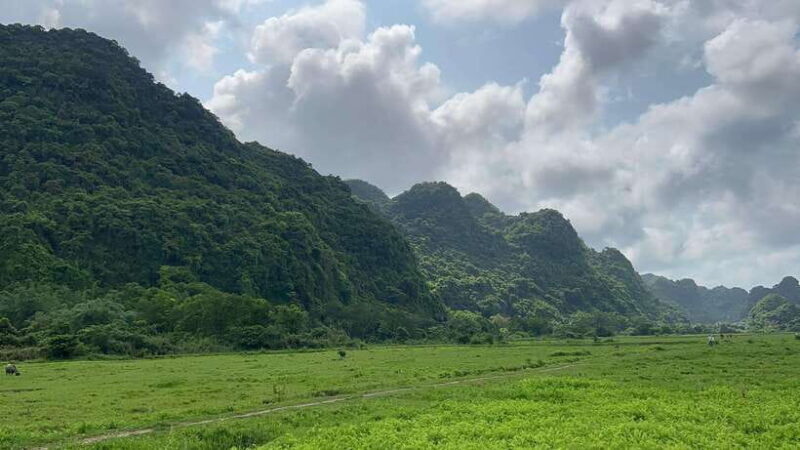 2-day-lan-ha-and-cat-ba-cruise-tour-by-3-star-cruise-ship