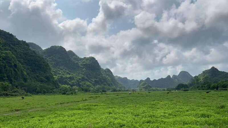 2-day-lan-ha-and-cat-ba-cruise-tour-by-3-star-cruise-ship