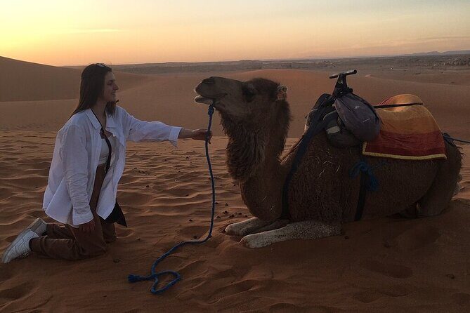 2 Day Luxury Desert Tour from Fes to Fes or Marrakech - The Value of the Tour
