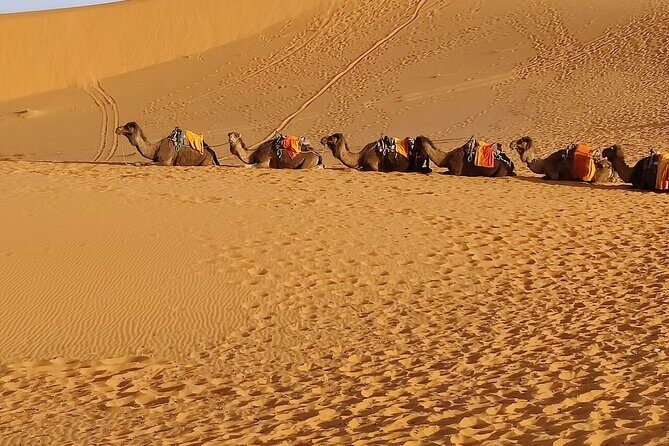 2 Day Luxury Desert Tour from Fes to Fes or Marrakech - Who Should Consider This Tour?