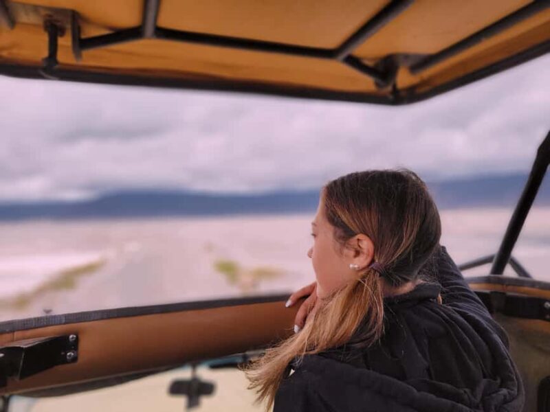 2-day luxury private fly safari from&back to zanzibar - What’s Included and Why It Matters