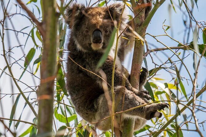 2 day Luxury Private Tour in Kangaroo Island - The Sum Up