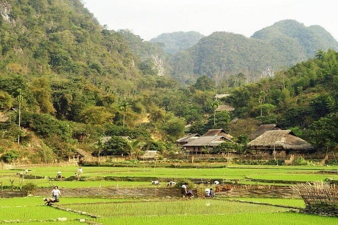2 Day Mai Chau Classic Group Tour - Who Will Love This Experience?