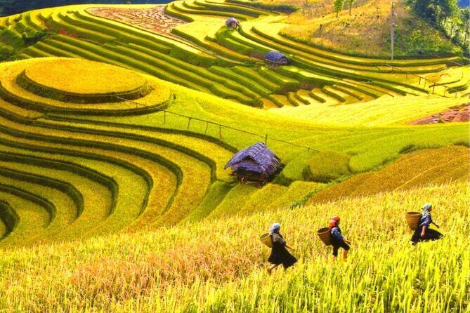 2 Day Mai Chau Journey Villages Rice Fields and Local Life - FAQ