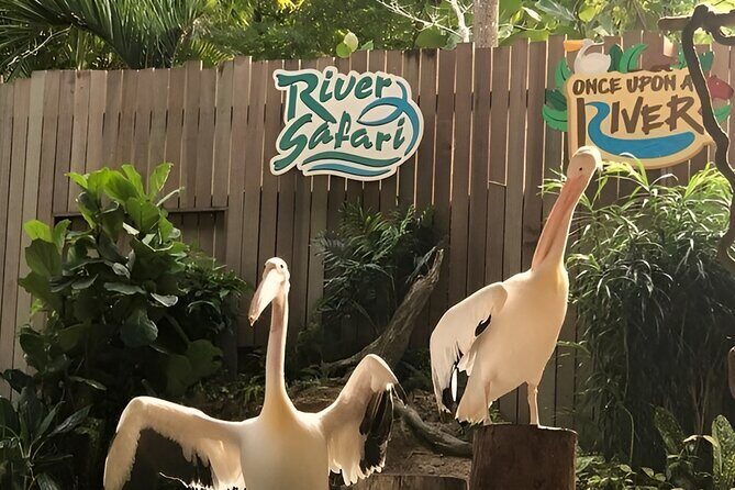 2 Day Mandai Wildlife Reserve Singapore with Roundtrip Transfer - Overview of the 2-Day Mandai Wildlife Reserve Tour