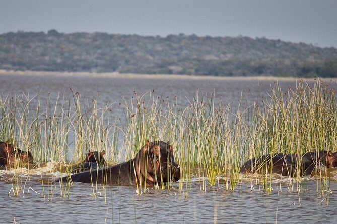 2-Day Maputo Special Reserve Guided Tour - Key Points