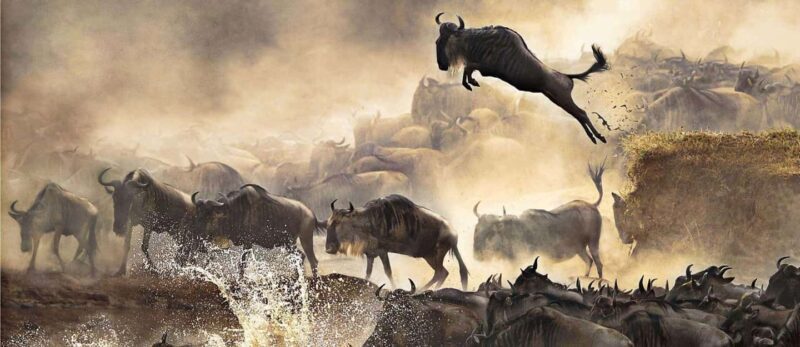 2-Day Migration Safari with a Hot Air Balloon Adventure. - Key Points