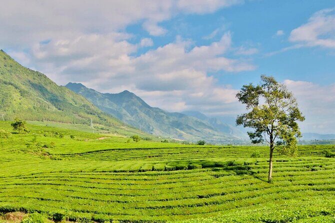 2-Day Motorbike Tour to Mu Cang Chai Loop from Sapa - The Sum Up