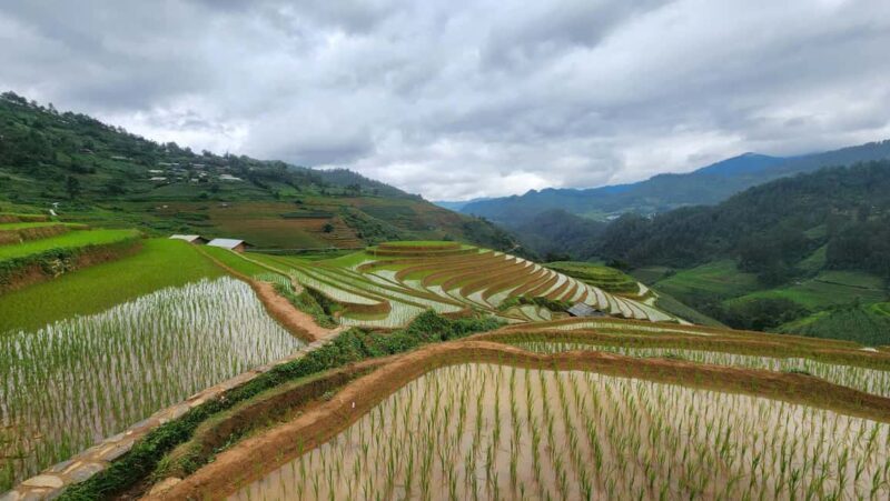 2-Day Motorbike Tour to Mu Cang Chai Loop from Sapa - FAQ