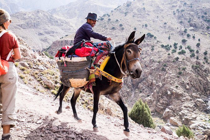 2 day mount toubkal trek ( private trek ) - Key Points