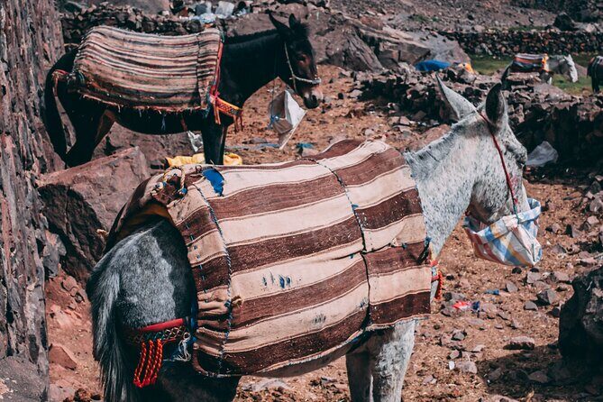 2 day mount toubkal trek ( private trek ) - Authentic Experiences & Authentic Support