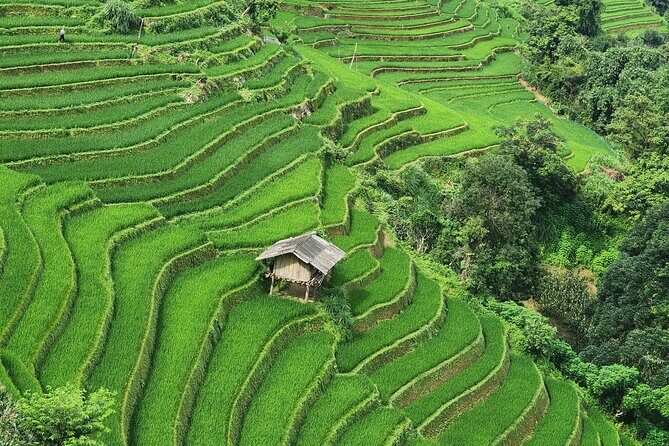 2 Day Mu Cang Chai Motorbike Tour with Homestay Experience - An In-Depth Look at the Tour: What to Expect