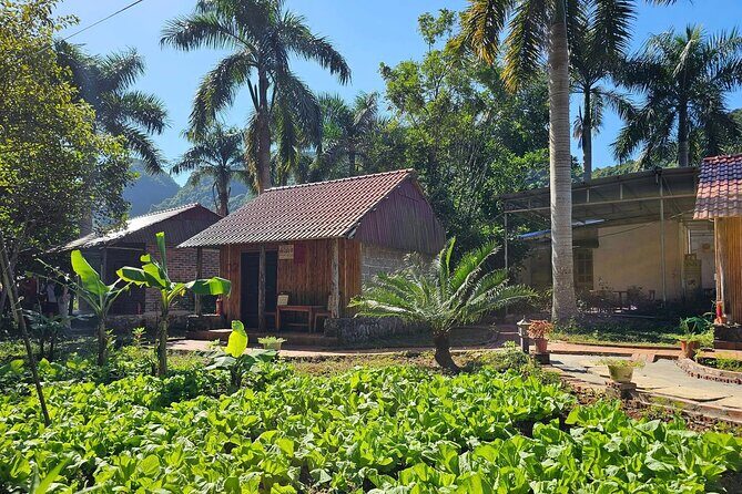 2 Day Navy Peak Trekking, Viethai Village and Ha Long Bay Cruise - FAQ