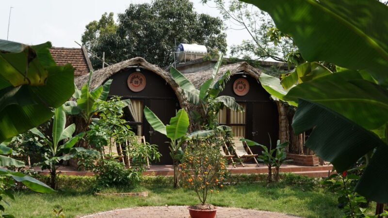 2 Day Ninh Binh: Hoa Lu/Bai Dinh- Trang An/Tam Coc- Mua Cave - Considerations for Planning Your Trip