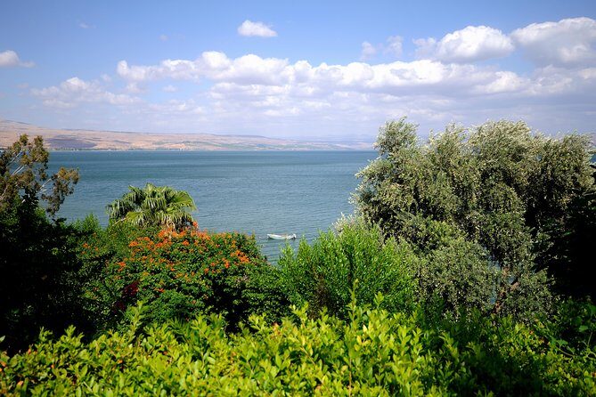 2-Day Northern Israel Tour from Tel Aviv: Golan Heights, Nazareth and the Sea of Galilee - Day 1: From the Jordan Valley to Mount Bental