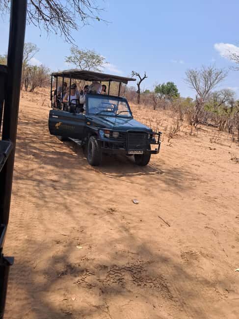 2 Day one night chobe safaris - An In-Depth Look at the 2-Day Chobe Safari Experience