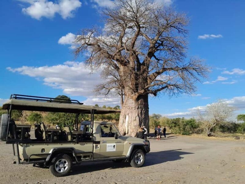 2 Day one night chobe safaris - Frequently Asked Questions